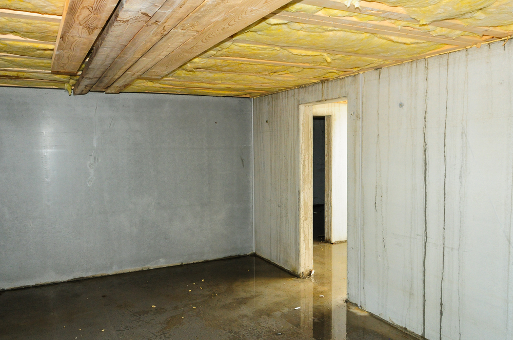 flooded basement