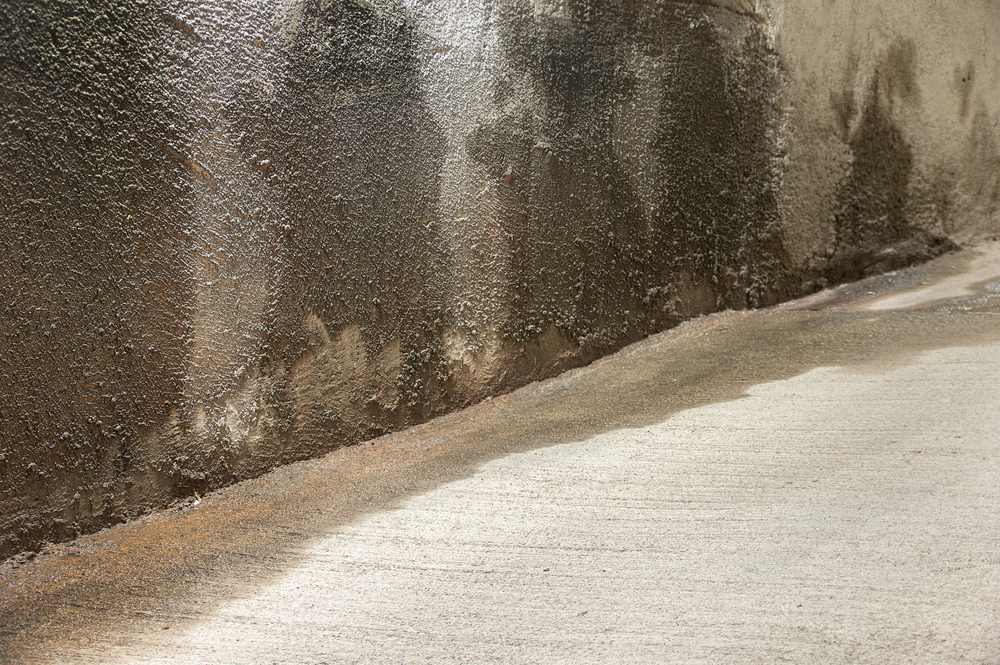 water leaking into basement