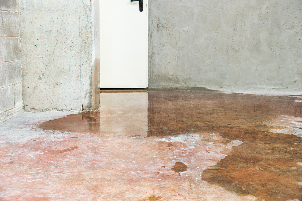 water in basement