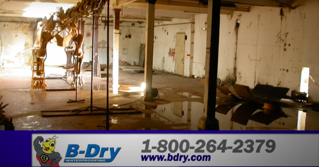 basement with water leak