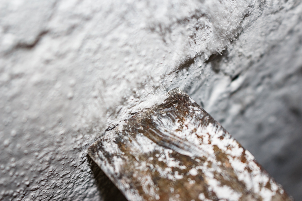 effloresence close up shot