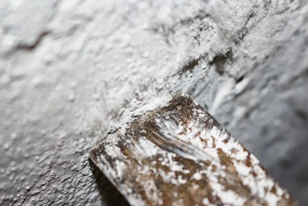 effloresence close up shot