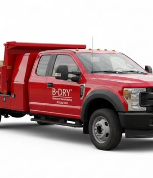 Truck 12 new decal pro pic